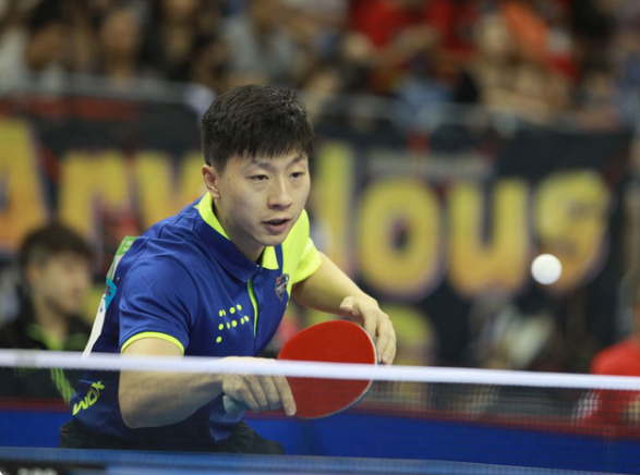 活应变能力 活应变能力