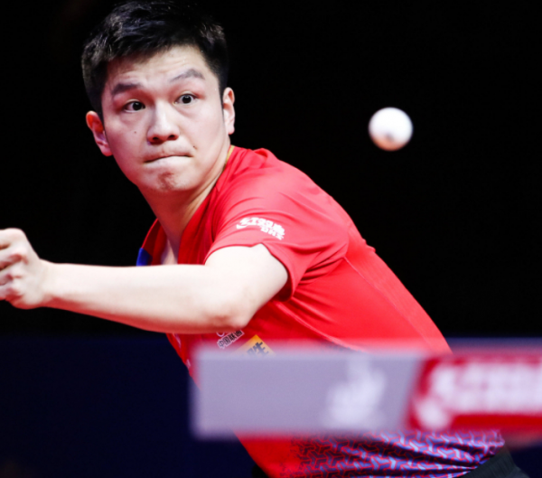 或缺的一员 或缺的一员