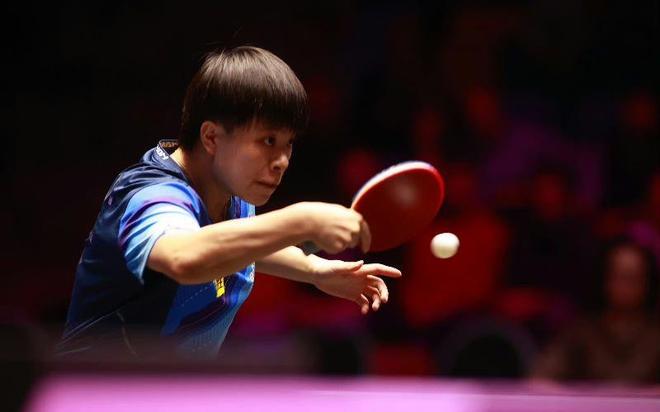 她们将再次 她们将再次