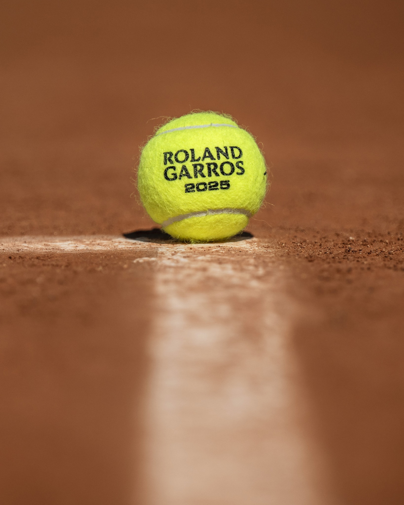 高度识别元 高度识别元